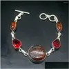 Kedjelänkarmband Sea skickade Baltic Amber Red Garnet Sier Color Charms Länkar för kvinnor 7,75 tums droppleverans smycken Dhqyh