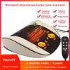 Moxibustion Back Massager Acupuncture Pain Lumbar Massage Pad Waist Body Heating Relaxation Instrument Physiotherapy Tool 240424