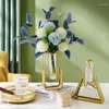 Vasos vasos nórdicos vaso de vidro de ferro forjado Luz de luxo decoração caseira sala de estar ornamentos