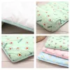 Dog Bed Mat Summer Cooling Pad Pet Sleeping With Pillow Dogs Cats Ice Silk Filt Madrass 240424