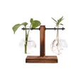 Gartendekorationen Hydroponische Pflanzen Terrarium Vasevase Dekoration Haus Glasflasche Hydroponische Desktop -Dekoration Büro grüne Pflanze kleine Topf