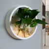 Decoratieve beeldjes Wanddecoratie Hangende hydrocultuur Green Radijs Flowerpot Woonkamer Dineren