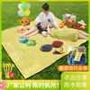 Pillow Picnic Mat Camping Hiking Outdoor Portable Beach Blanket Folding Thick Waterproof Lawn Cloth Equipment