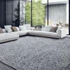 Super Plush 10x14 Feet Shaggy Area Carpet - Large Artificial Fur Rug for Living Rooms and Bedrooms - Non-Slip, Perfect for Children's Playroom