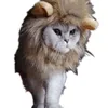 Chien vêtements chat lion perruque Headgear Pet Funny Hat Dress Up Supplies