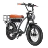 E5 20 polegadas de bicicleta elétrica 1000W 48V Motor 20*4,0 pneus gordos do pneu frontal FORCELTRIO