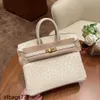 Sac à main autruche Famille Platinum All South African Portable Femmes Portable Real Luxury Matching Gold Bouton Gence Genuine Cuir