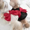 犬のアパレルペットスカートメッシュテクスチャシルキーエッジボウノットサマーキティの服の衣装屋外用カップケーキ