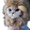 Psa odzież kota lion lion petgear pet zabawny kapelusz ubieranie się