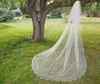 Fashional Elegant White Ivory Champagne Twotier Blusher Wedding Veil Populaire kathedraallengte geschulpte rand Bridal Veil9075595