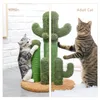 Chat grattant post cactus Cat gratteur avec 3 poteaux grattant et balle interactive pendante