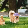 Schelle de chien Sun Sun Sunable Cotton Matière Pet avec des trous d'oreille et des accessoires de visière de protection à bord rond
