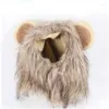 Costumi di gatto Cosplay Suit Mane Mane Mane parrucca Dog e cuccioli Accessori decorativi per animali domestici