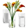 Bandlers Ensemble de 12 vases de cylindre en verre 8 pouces de hauteur - Multi-Use: Pilier Party Supplies Decorative Bougies et Accessoires