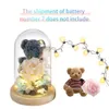 Rose Belle ours en peluche en verre avec un ours mignon LED Rose éternelle en verre roses conservées des cadeaux pour amant de petite amie présente 240418