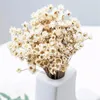 Fleurs décoratives 100 pcs Bouquet séché Bouquet blanc fleur de fleurs sauvages florales Brésilien petite étoile pour mariage