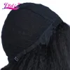 Wigs Lydia sintetico da 15 pollici parrucche stravaganti per capelli puliti per capelli afroamericani resistenti al calore con topper per pelle piena ogni giorno