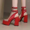 Sandals simloveyo punk gothique double plate-forme femmes chaussures de gladiateur pointu plus taille 46 47 48 décoration de boucle de ceinture en métal