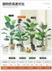 Decoratieve bloemen gesimuleerde groene planten nep licht luxe woonkamer decoratie bomen