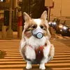 Köpek Giyim Pet Anti Toz Anti Nefes Namlu, Golden Retriever Labrador için Ağzı Hava Kirliliğinden Koruyor