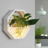 Decoratieve beeldjes Wanddecoratie Hangende hydrocultuur Green Radijs Flowerpot Woonkamer Dineren