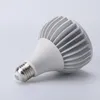 Lâmpada de lâmpada LED 30W PAR30 PAR38 LUZES LED 110V 220V 24V 12V PAR30 Bulbo