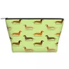 Sacs de cosmétique Voyage Dckhund Badger Toitrage Sac Migne Sausage pour chien Makeuple Organisateur Femme Boîte de kit de rangement de beauté Dopp