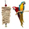 Autres fournitures d'oiseau Toys mâchage jouet perroquet morsure morsure de maïs colorions de bois perles divertissement pour les petits et moyens perroquets oiseaux