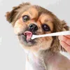 Dog Apparel 4 Pcs Pet Dogs Cat Cleaning Handheld Small Head Long Handle Plastic Portable Teeth