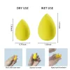 Puff 5 PCS Mini Makeup Sponge Blender Set para fundação, pó, corretivo e para a ferramenta de beleza de sombra dos olhos Frete grátis