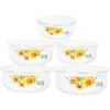 Geschirrssätze 5 PCs Lunchbox Email Dokadelschale für Küchen Ramen Instant Noodle mit Deckel Salat Container Emailware Office