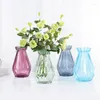 Vases Vases de fleurs en verre nordique Transparent Hydroponic Craft Living Room Arrangement Access