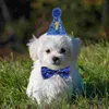 Célébration d'anniversaire pour chien