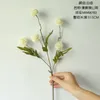 Fleurs décoratives Plantes vertes artificielles dansant Dandelion Decoration Mariage MW66783