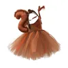 Förskolan Girl Squirrel Rollspelande kostym ärmlös spetschiffong klistermärke A-line prinsessklänning med pannband och svansfiber set 240424