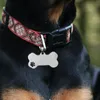 Hundhalsar 10 st etikett Personliga etiketter Graverade för husdjur Collar Charms Dogs Name Bone ID