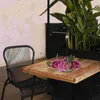 Fleurs décoratives chandelle artificielle guirlande table de table de couronne de couronnes couronnes fleur décoration de mariage Anthurium Silk Miss Eucalyptus