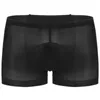 Underbyxor Mens Sexiga trosor Knicker Sleepwear sömlös Se genom ren sissy underkläder stretchy strumpboxare shorts trosor underkläder