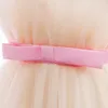 Girl Ruffles Princess Dress Toddler Infantil Wedding Party Prom Gown Kids Evening Bridesmaid Tulle 1 Years Birthday Pink Dresses 240412