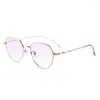 Solglasögon Bifokala läsglasögon med blått ljusblockeringslinser Stylish Readers for Women Dioptrar: 1 1,5 2 2,5 3 3.5 4.0