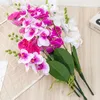 Decoratieve bloemen 3x Natuur binnenshuis met deze kunstmatige orchidee stamplanten heldere kleur textuur Clear Quad Rose Red