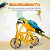 Altre forniture per uccelli PACCIA Plaything Macaw Playing Toys Intelligence Conure Playset Interactive Toy