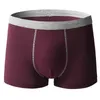 Sous-vêtements pour hommes de grande taille pantalon de coton pur houstant des boxers antibactériens confortables mode Angle plat lâche