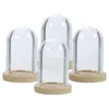 Fiori decorativi 4 set Set copertina di vetro di fiori conservati decorazioni retrò coche cupola piccola display bocce in legno rosa per piante trasparenti