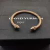 Nieuwe 2024 Dy Desginer David Yurma Sieraden Top Kwaliteit Bracelet Simple en Elegant Popular Woven Twisted Rope Fashion Ring David Bracelet Punk Jewelry David Size 2 191