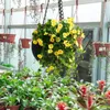 装飾的な花屋内と屋外の壁が取り付けられた繊細なテクスチャーのある家の吊り下げ植物の家の庭の飾り