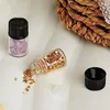 Storage Bottles 100Pcs Clear Glass Vial With Screw Caps And Plastic Stopper Leakproof For Oil Sample Perfume(2 Ml) Easy To Use