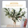 Fleurs décoratives 5 PCS OLIVE ARTIFICIEL BRANCE PLANTES PLANTES RICHAGES PLAQUES FAUX SEMPLE DES SEMPLE DES FLORIT