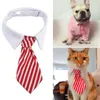 Hundekleidung einstellbare süße Haustier Mode Striped Krawatte reines Baumwollkatze Blau und rotes Kragen Accessoires Anzug für Welpenkätzchen