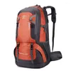 Sac à dos 60l imperméable de camping extérieur homme grimpant bagpack unisexe randonnée alpinal de voyage sac de voyage sac de sport d'équitation